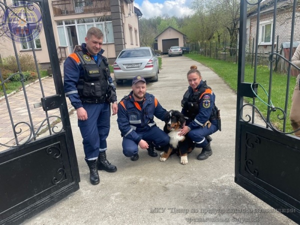 Застрявшего в заборе щенка освободили коломенские спасатели